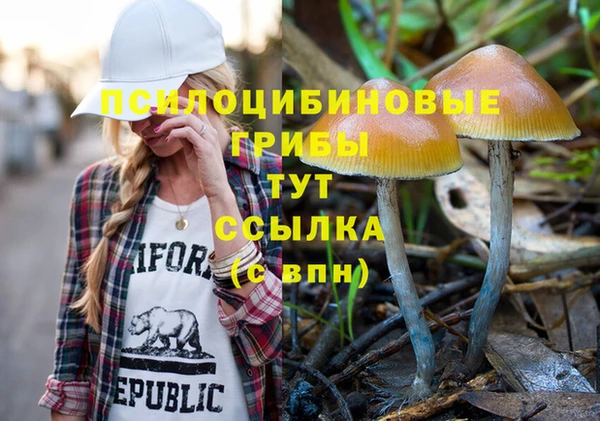 мет Арсеньев