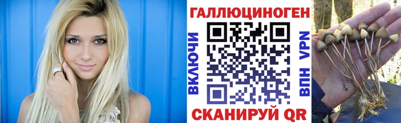 Галлюциногенные грибы мухоморы  магазин продажи   Качканар 